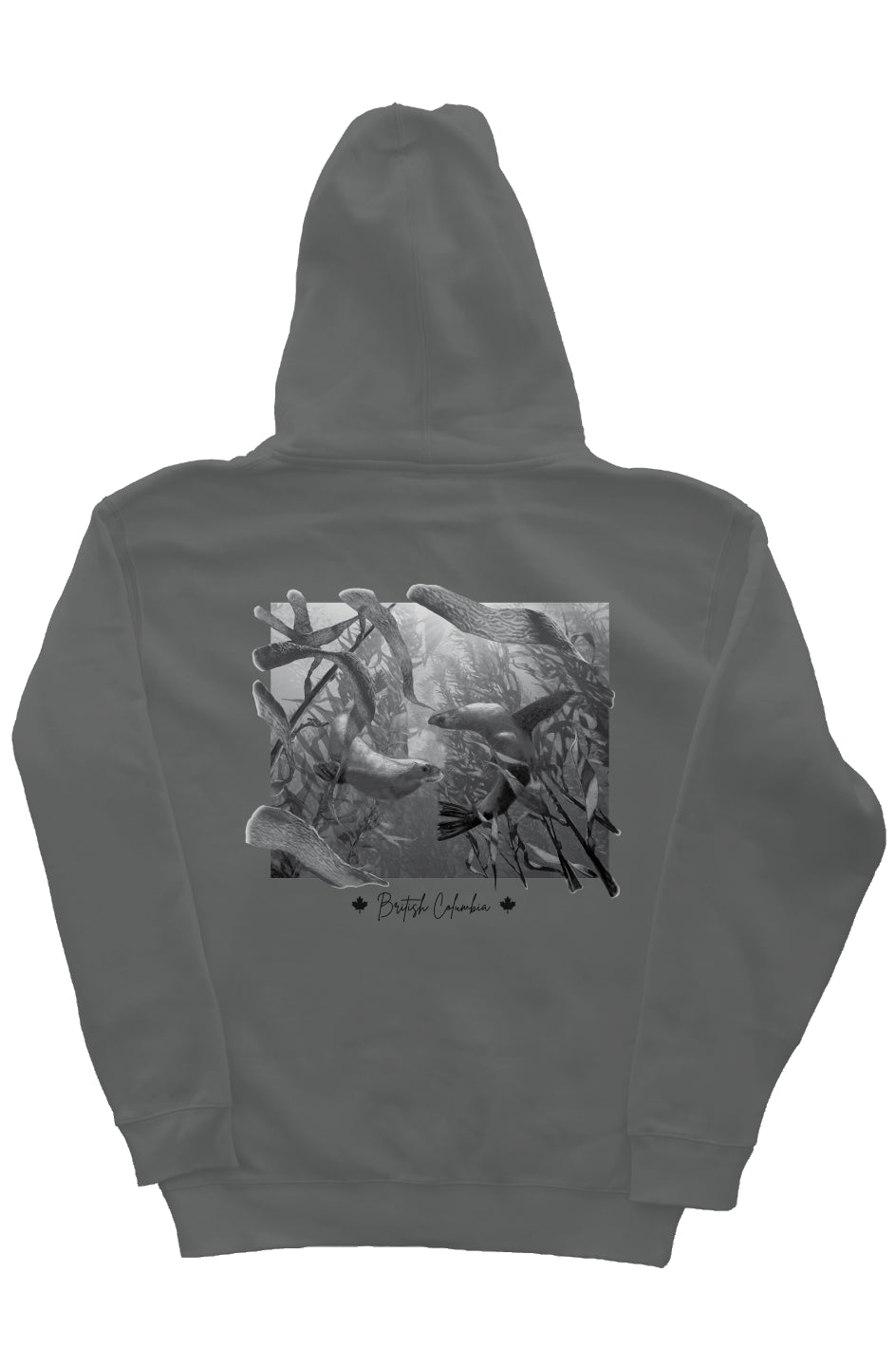 Seals at Play Zip Hoodie